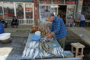 Fish market in Bandar Anzali