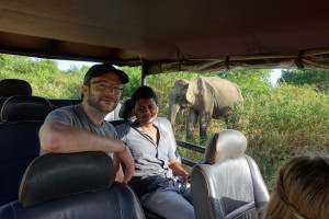 Safari in Udawalawe National Park