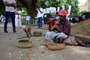 Snake charmer in Kandy