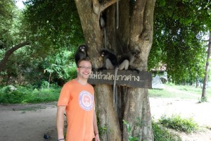 Fancy monkeys in Prachuap Khiri Khan