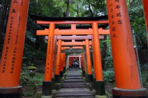 Fushimi-Inari Taisha with thousands of red torii