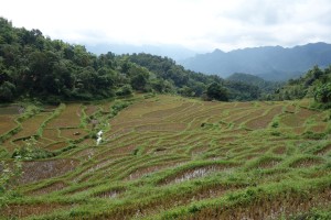 Landscape near Mai Chau