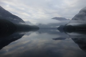 Early morning at Doubtful Sound